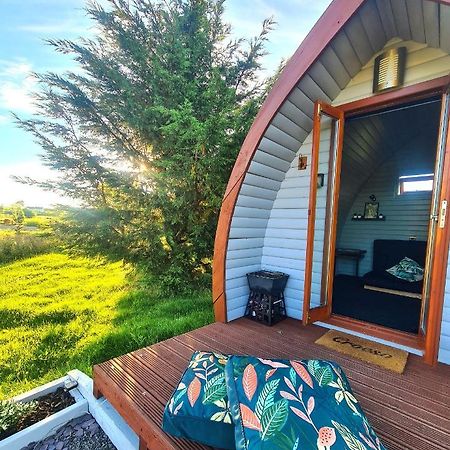 Delightful Camping Pod In Snowdonia, North Wales. Hotell Derwen Eksteriør bilde