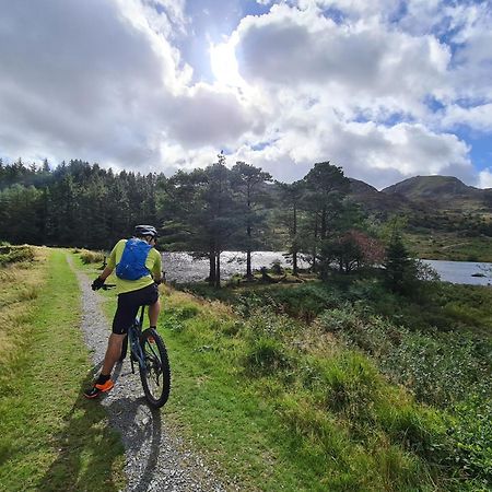 Delightful Camping Pod In Snowdonia, North Wales. Hotell Derwen Eksteriør bilde
