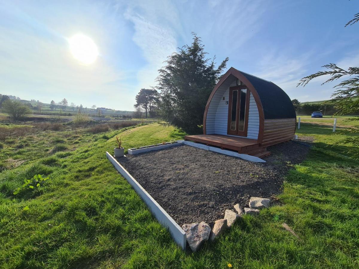 Delightful Camping Pod In Snowdonia, North Wales. Hotell Derwen Eksteriør bilde