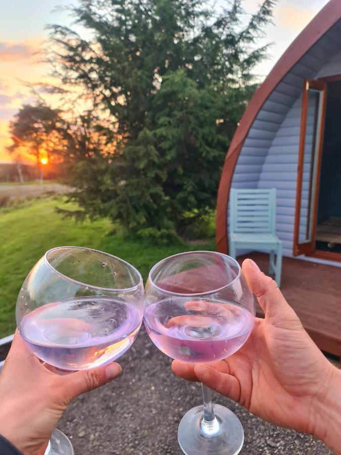 Delightful Camping Pod In Snowdonia, North Wales. Hotell Derwen Eksteriør bilde