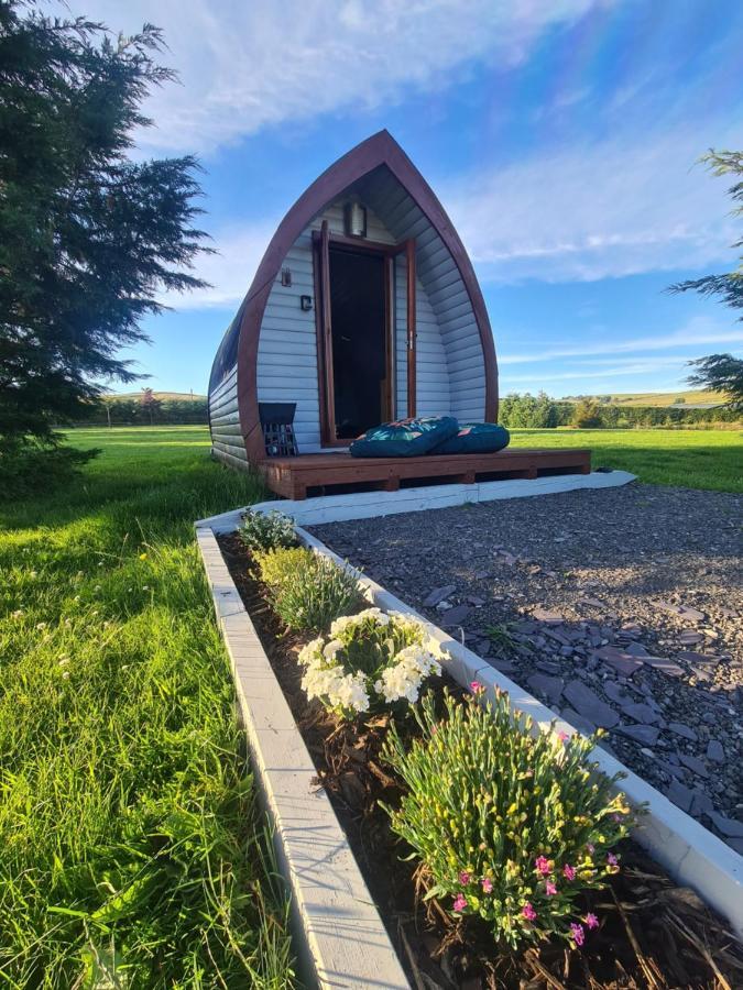 Delightful Camping Pod In Snowdonia, North Wales. Hotell Derwen Eksteriør bilde